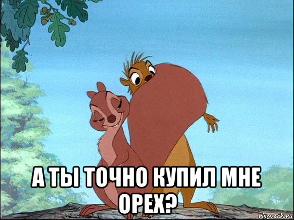  а ты точно купил мне орех?