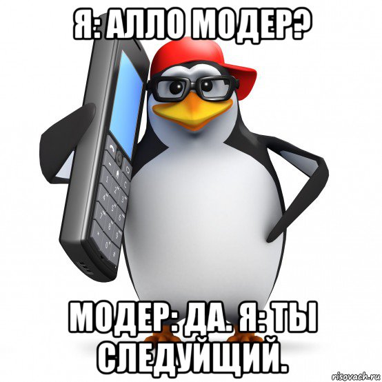 я: алло модер? модер: да. я: ты следуйщий., Мем   Пингвин звонит