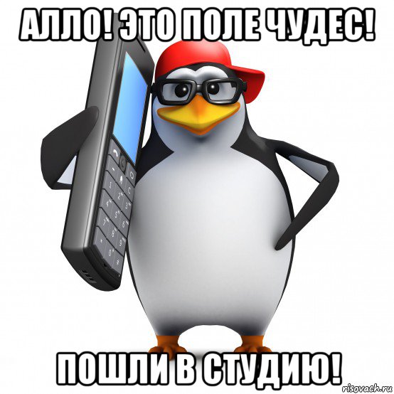 алло! это поле чудес! пошли в студию!, Мем   Пингвин звонит