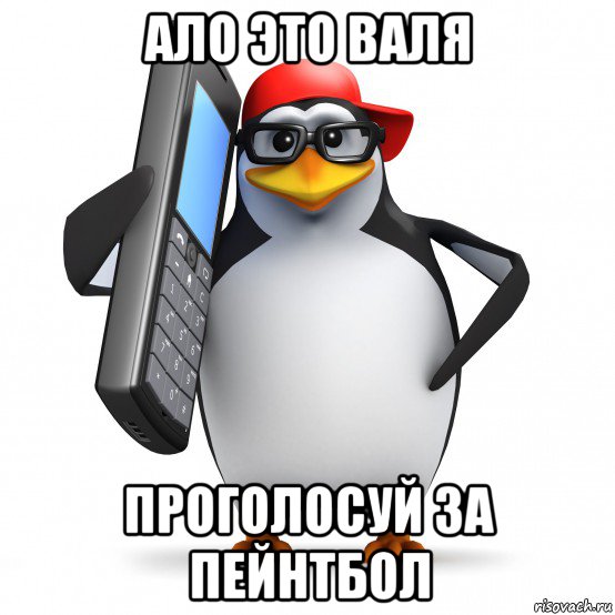 ало это валя проголосуй за пейнтбол, Мем   Пингвин звонит