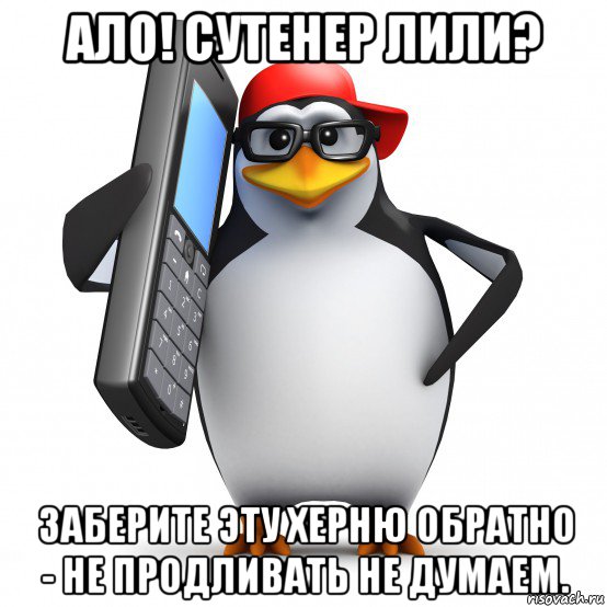 ало! сутенер лили? заберите эту херню обратно - не продливать не думаем., Мем   Пингвин звонит