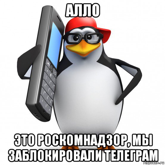 алло это роскомнадзор, мы заблокировали телеграм, Мем   Пингвин звонит