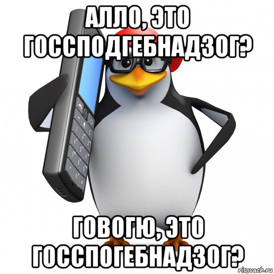 алло, это госсподгебнадзог? говогю, это госспогебнадзог?, Мем   Пингвин звонит