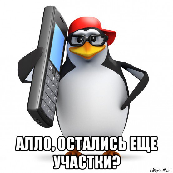  алло, остались еще участки?, Мем   Пингвин звонит