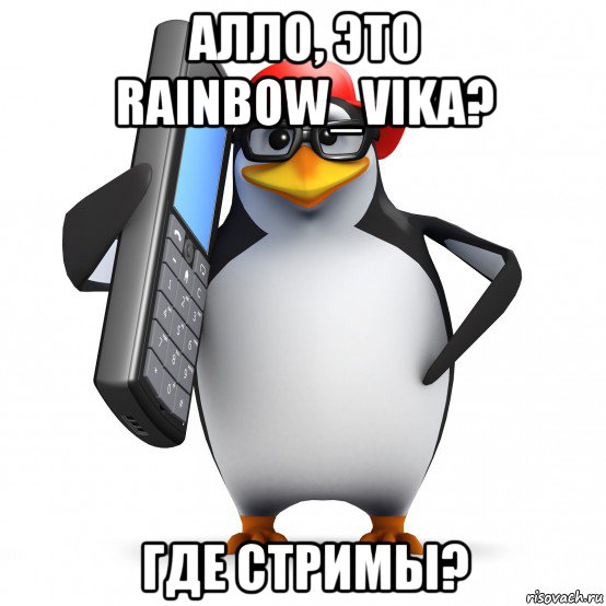 алло, это rainbow_vika? где стримы?, Мем   Пингвин звонит