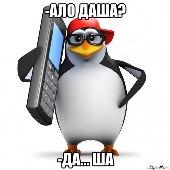 -ало даша? -да... ша, Мем   Пингвин звонит