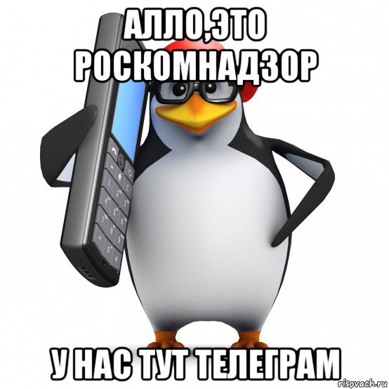 алло,это роскомнадзор у нас тут телеграм, Мем   Пингвин звонит