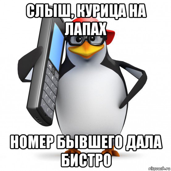 слыш, курица на лапах номер бывшего дала бистро, Мем   Пингвин звонит