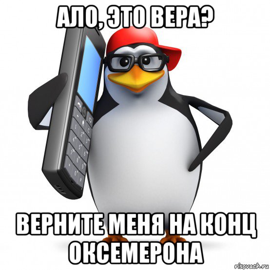 ало, это вера? верните меня на конц оксемерона, Мем   Пингвин звонит