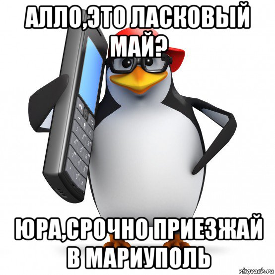 алло,это ласковый май? юра,срочно приезжай в мариуполь, Мем   Пингвин звонит