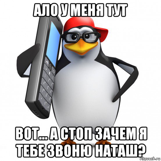 ало у меня тут вот... а стоп зачем я тебе звоню наташ?, Мем   Пингвин звонит