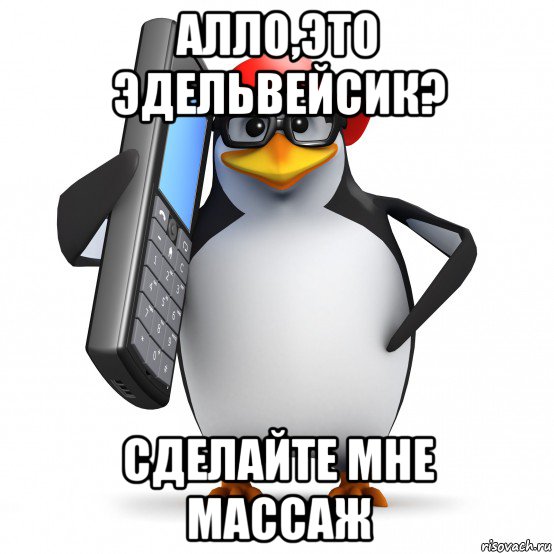 алло,это эдельвейсик? сделайте мне массаж, Мем   Пингвин звонит