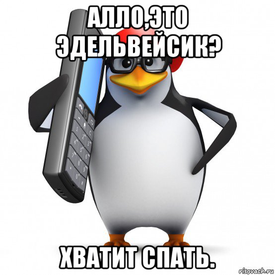 алло,это эдельвейсик? хватит спать., Мем   Пингвин звонит