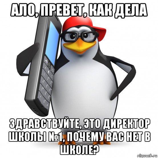 ало, превет, как дела здравствуйте, это директор школы №1, почему вас нет в школе?, Мем   Пингвин звонит