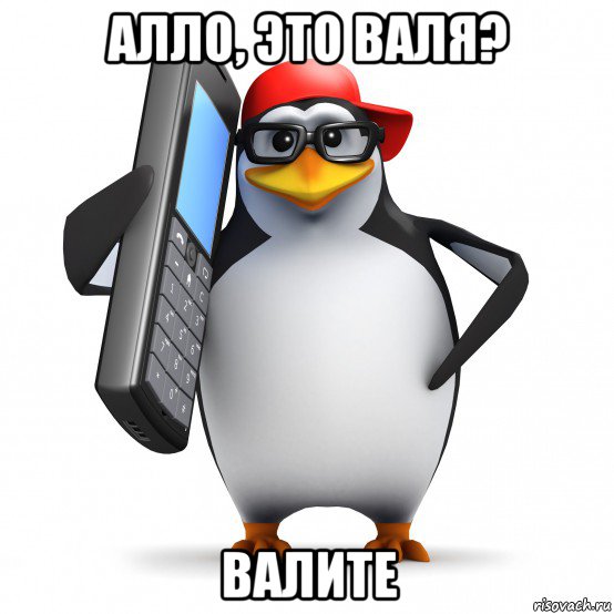 алло, это валя? валите, Мем   Пингвин звонит