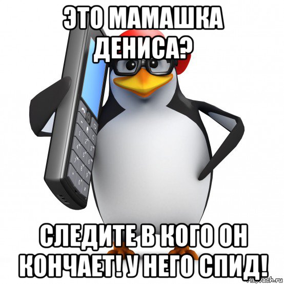 это мамашка дениса? следите в кого он кончает! у него спид!, Мем   Пингвин звонит