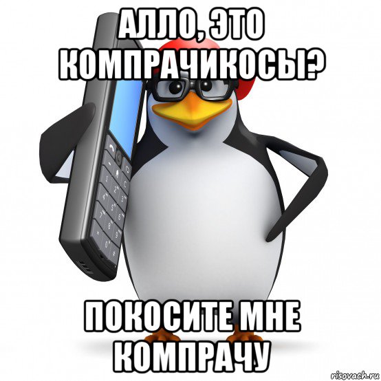 алло, это компрачикосы? покосите мне компрачу, Мем   Пингвин звонит