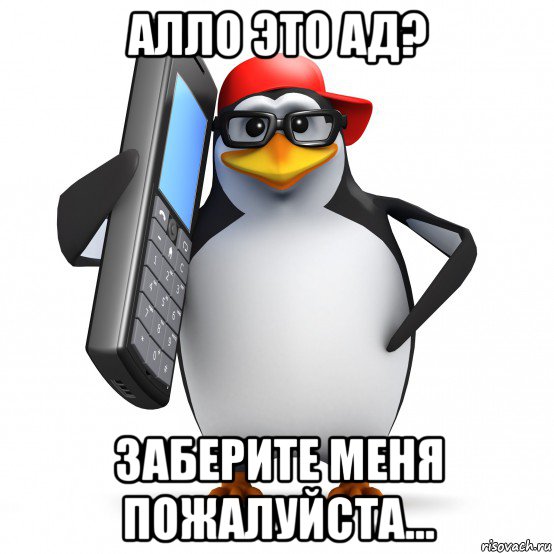 алло это ад? заберите меня пожалуйста..., Мем   Пингвин звонит