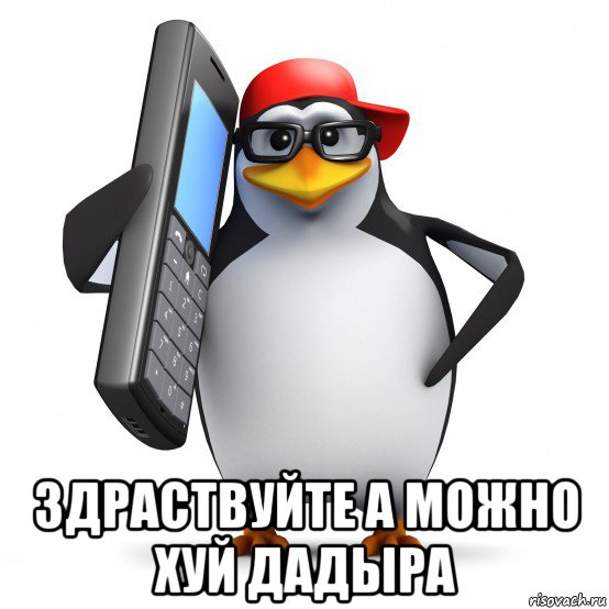  здраствуйте а можно хуй дадыра, Мем   Пингвин звонит