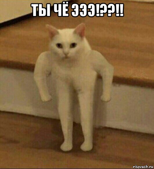 ты чё эээ!??!! , Мем  Полукот