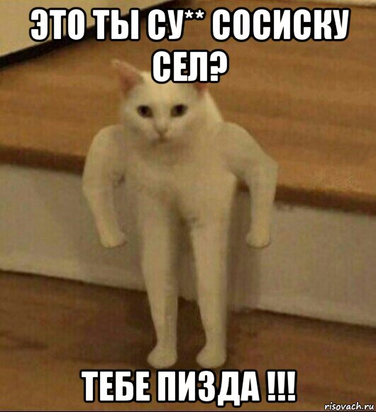 это ты су** сосиску сел? тебе пизда !!!, Мем  Полукот