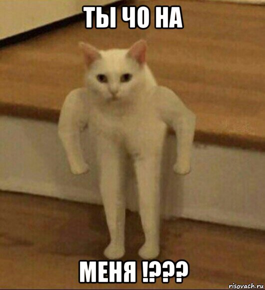 ты чо на меня !???