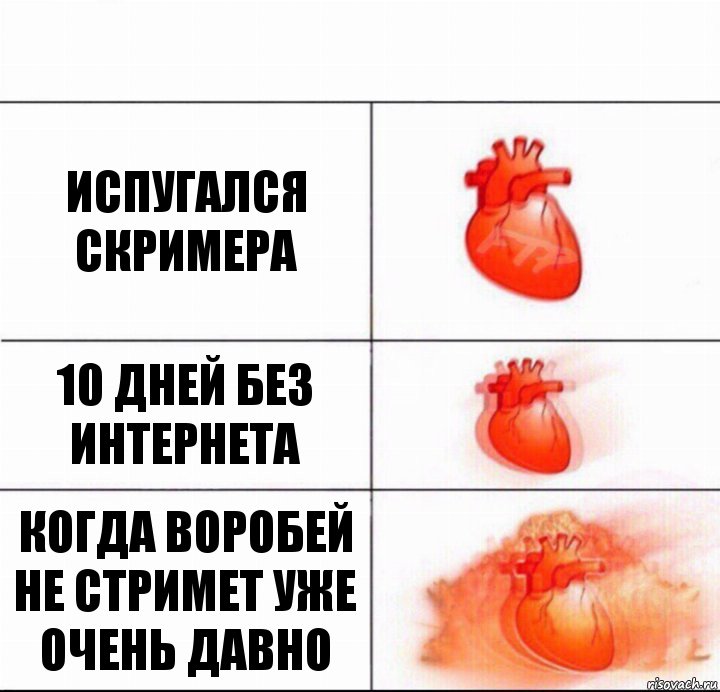 испугался скримера 10 дней без интернета когда воробей не стримет уже очень давно, Комикс  Расширяюшее сердце