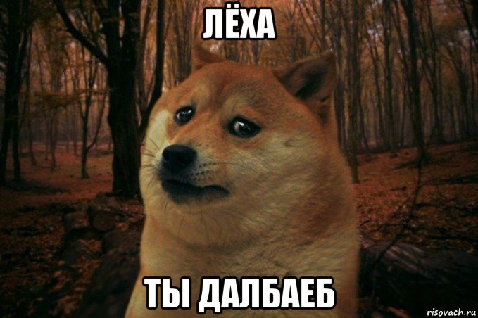 лёха ты далбаеб