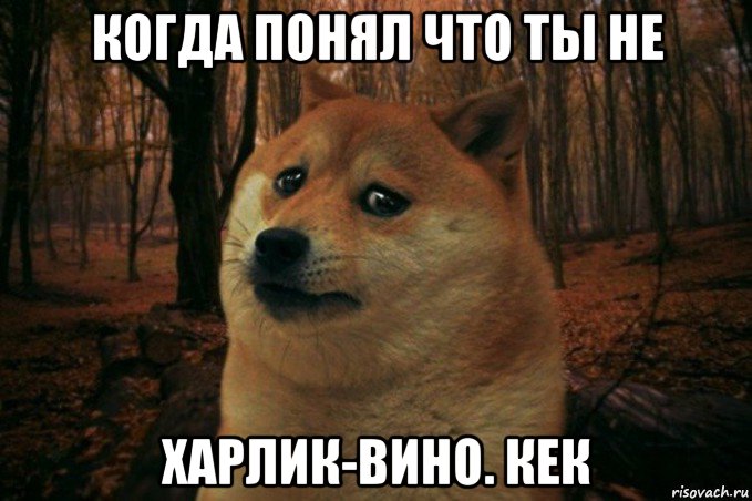 когда понял что ты не харлик-вино. кек, Мем SAD DOGE