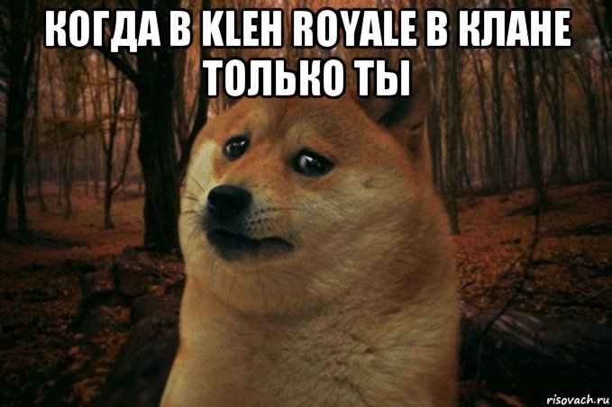 когда в kleh royale в клане только ты 