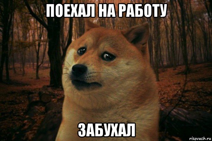 поехал на работу забухал, Мем SAD DOGE