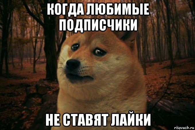 когда любимые подписчики не ставят лайки, Мем SAD DOGE