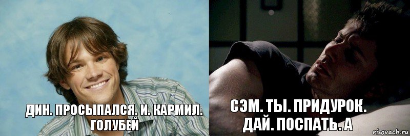 Дин. Просыпался. И. Кармил. Голубей Сэм. Ты. Придурок. Дай. Поспать. А