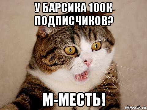 у барсика 100к подписчиков? м-месть!, Мем  сердитый кот