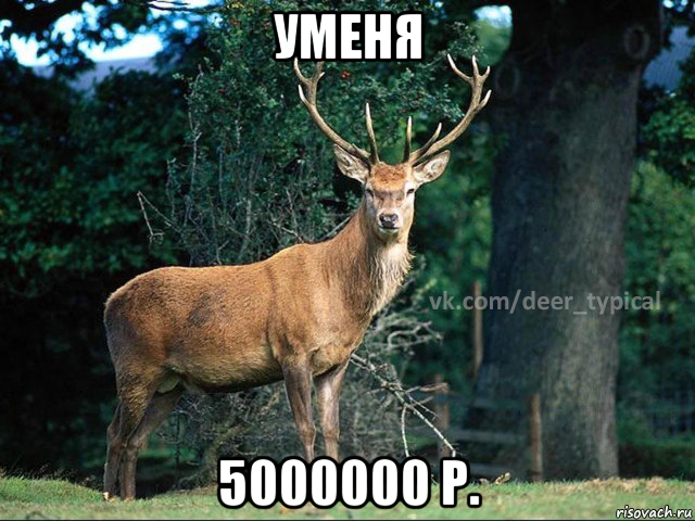 уменя 5000000 р.