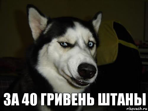 ЗА 40 ГРИВЕНЬ ШТАНЫ