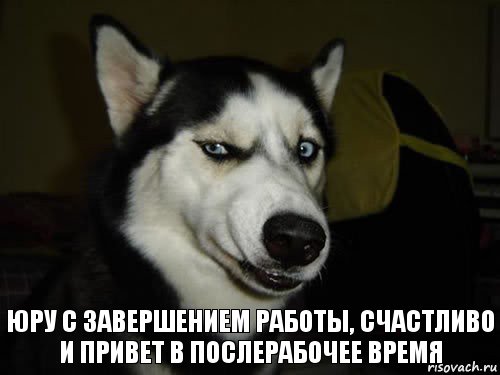 юру с завершением работы, счастливо и привет в послерабочее время, Комикс  Собака подозревака