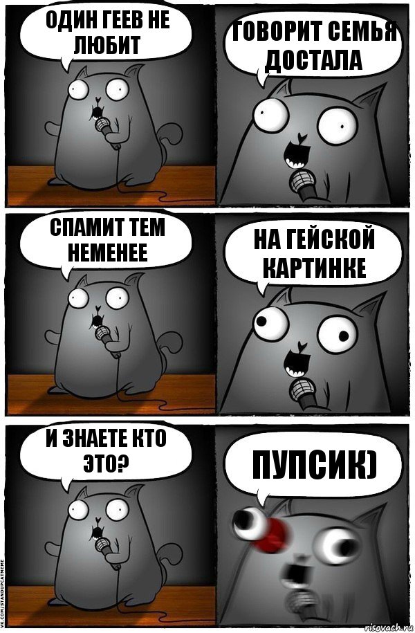 один геев не любит говорит семья достала спамит тем неменее на гейской картинке и знаете кто это? ПУПСИК), Комикс  Стендап-кот