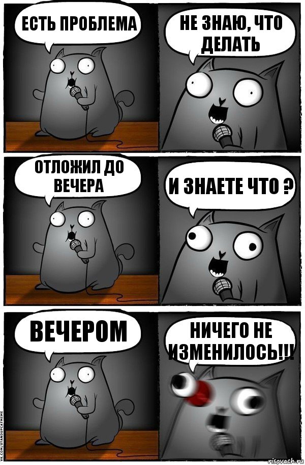 Есть проблема Не знаю, что делать Отложил до вечера И знаете что ? Вечером Ничего не изменилось!!!, Комикс  Стендап-кот