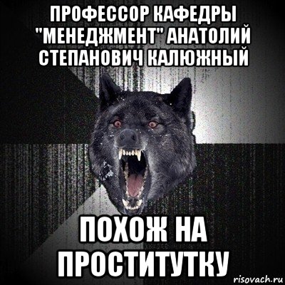 профессор кафедры "менеджмент" анатолий степанович калюжный похож на проститутку, Мем Сумасшедший волк