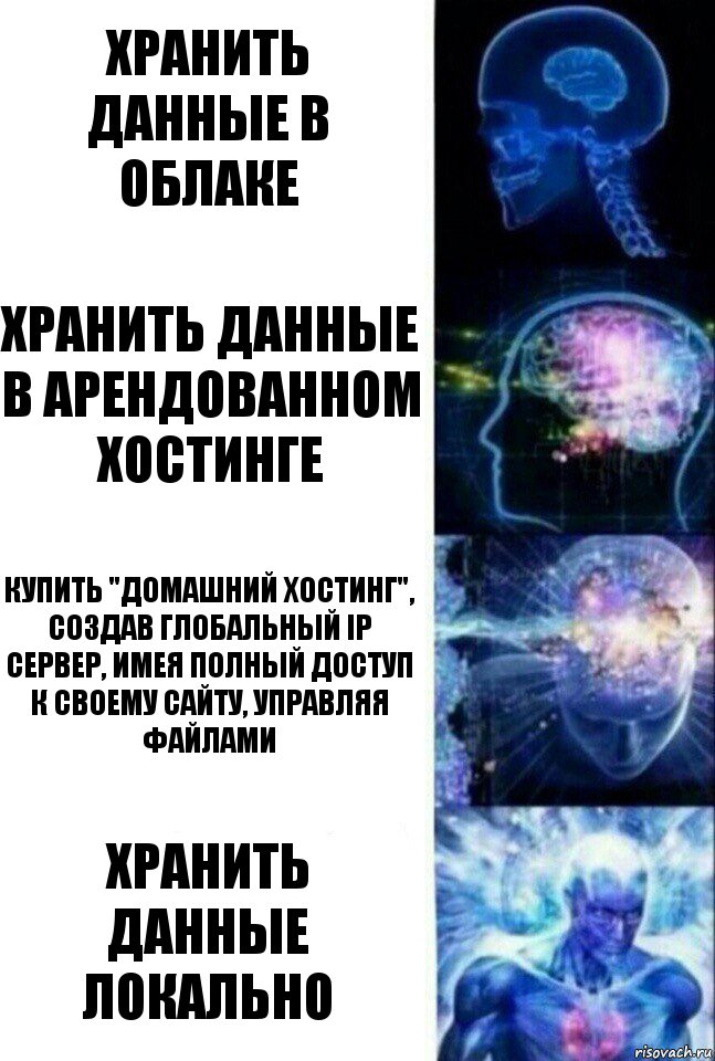 Хранить данные в облаке Хранить данные в арендованном хостинге Купить "домашний хостинг", создав глобальный IP сервер, имея полный доступ к своему сайту, управляя файлами Хранить данные локально, Комикс  Сверхразум