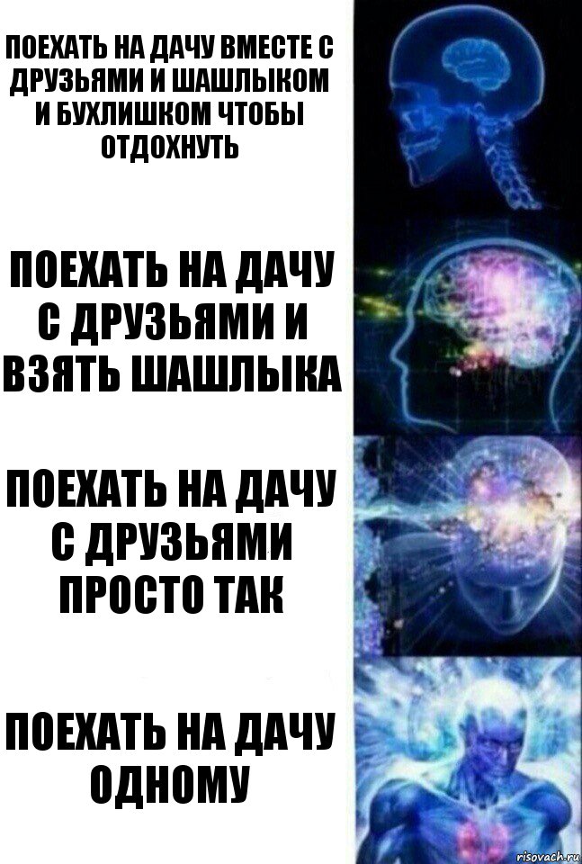 Поехать на дачу вместе с друзьями и шашлыком и бухлишком чтобы отдохнуть Поехать на дачу с друзьями и взять шашлыка Поехать на дачу с друзьями просто так Поехать на дачу одному, Комикс  Сверхразум