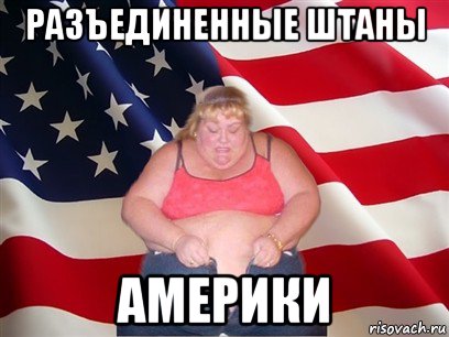 разъединенные штаны америки, Мем Толстая американка