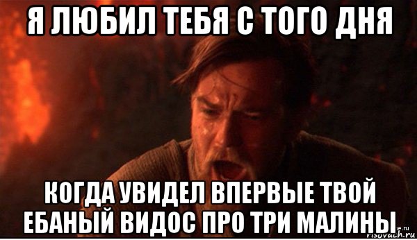 я любил тебя с того дня когда увидел впервые твой ебаный видос про три малины, Мем ты был мне как брат