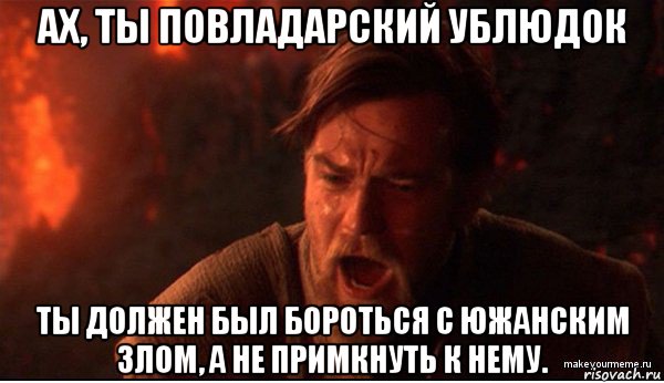 ах, ты повладарский ублюдок ты должен был бороться с южанским злом, а не примкнуть к нему.