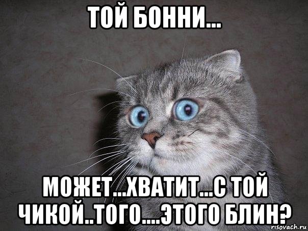 той бонни... может...хватит...с той чикой..того....этого блин?