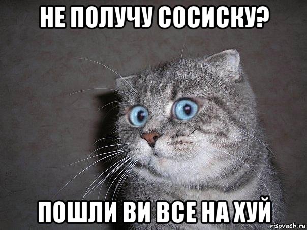 не получу сосиску? пошли ви все на хуй, Мем  удивлённый кот