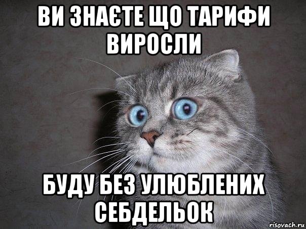 ви знаєте що тарифи виросли буду без улюблених себдельок, Мем  удивлённый кот