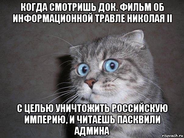 когда смотришь док. фильм об информационной травле николая ii с целью уничтожить российскую империю, и читаешь пасквили админа, Мем  удивлённый кот