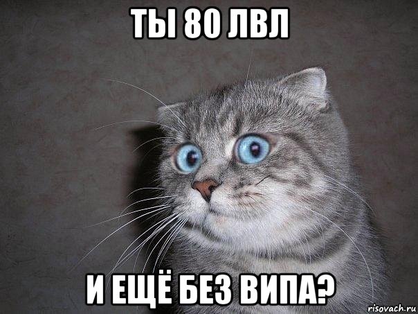 ты 80 лвл и ещё без випа?